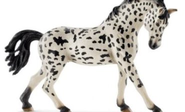 Schleich Knabstrupper klacz WFSLHZ0UC028243